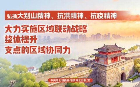 嘉鱼蔬菜实现跨境直达交易 15吨甘蓝半日端上香港市民餐桌