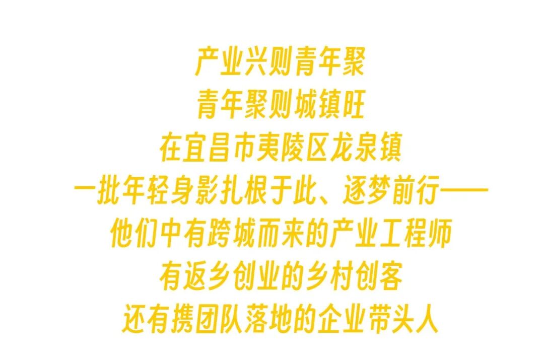 小镇来了年轻人