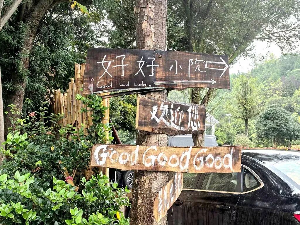 小镇来了年轻人