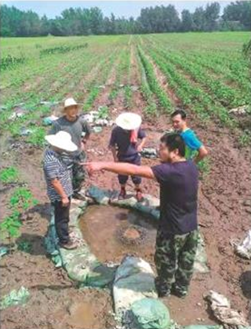 新华每日电讯 | 叶路洲的春天，那个每天绕村转的支书走了