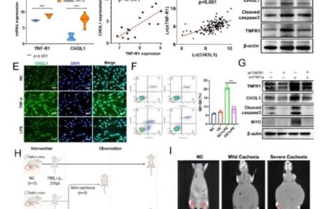 生命学院刘剑峰团队发现不同神经递质受体形成寡聚体变构激活新机制