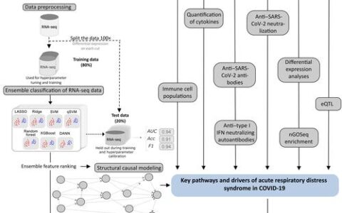 梨园医院金肆团队设计IMD-CBM融合肽选择性激活自噬延缓糖尿病动脉粥样硬化斑块进展
