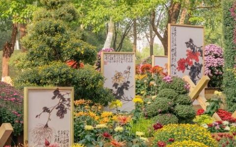 每年至少3场花展！武汉这座百年公园越来越年轻