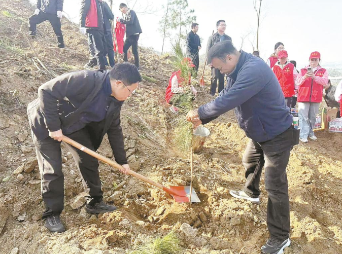 春日植绿正当时，医保先锋添新彩