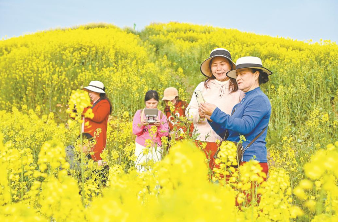 浠水巴河城山村：千亩油菜花海竞相绽放