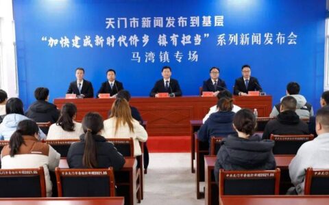 马湾镇 聚力“三个突破” 打造振 兴 样 板