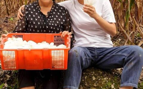 从“海归”学子到“不懂农业”的水果行业协会会长 通山90后姑娘陈亚男的梨园新梦