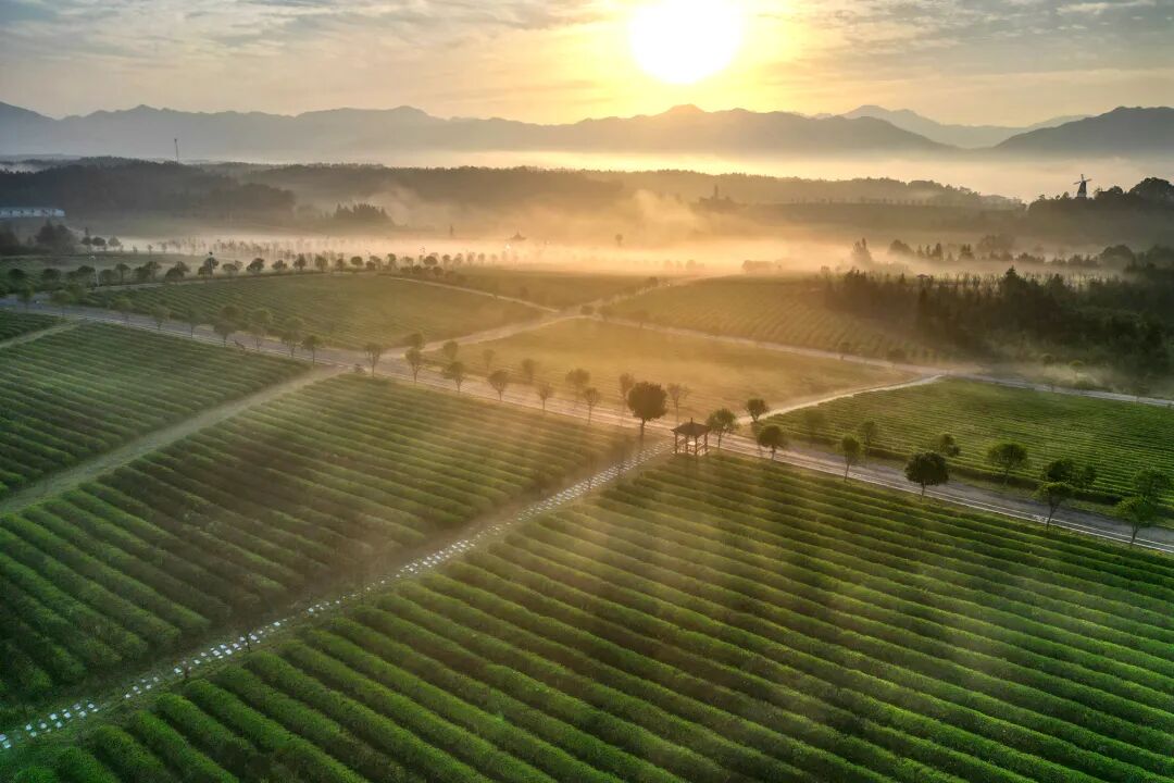 中部崛起，湖北靠什么担重任？