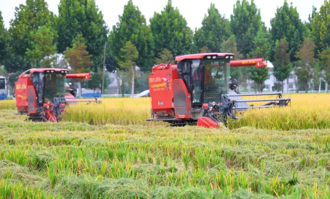 中部崛起，湖北靠什么担重任？