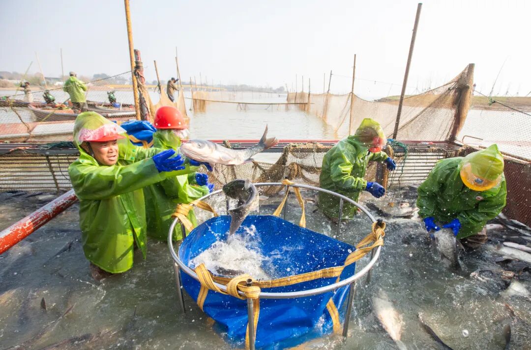 中部崛起，湖北靠什么担重任？