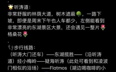 网友晒“武汉东—武汉东”N种玩法