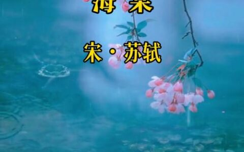 雨霁月湖花满树，杜梨飞雪海棠红