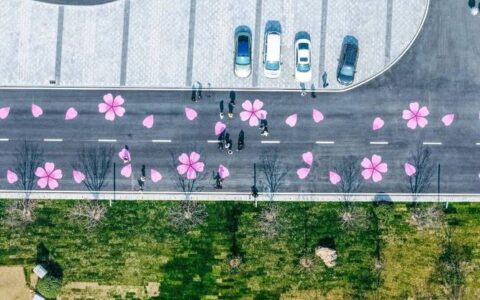 汉马22日鸣枪，中外高手携硬核数据竞逐樱花赛道