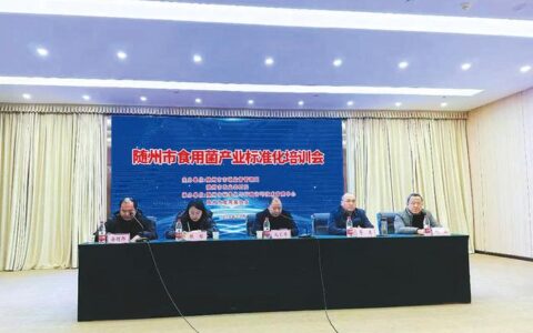 随州市精品乡镇建设专题会召开