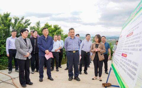 省林业局领导来随调研督导油茶示范奖补项目