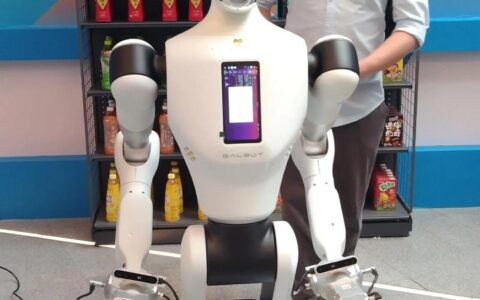 “人形机器人进潜江”科普庆新春活动举行