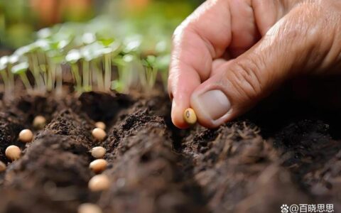 播下新质生产力“种子”