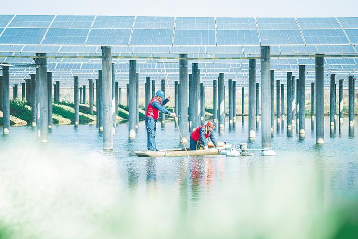 渔光互补给乡村添绿