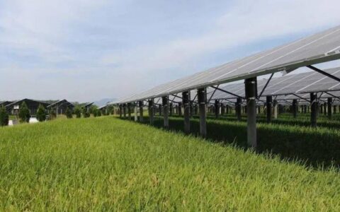 试点“光储充荷”一体化，为乡村振兴注入绿色动能