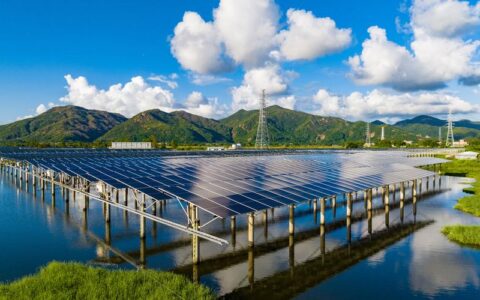 渔光互补给乡村添绿