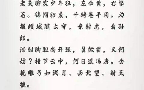 竹皮河：一条护城河，半部荆门史