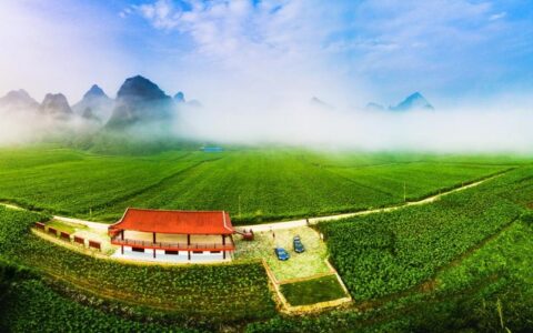 信用“金钥匙”，如何打开蔬菜产业的“增值门”？ 嘉鱼“信用链+”激活乡村振兴一池春水