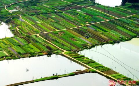 嘉鱼抢抓农时备耕忙  绿色基地绘“丰”景