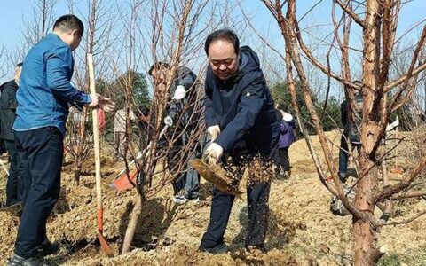 “植”此青绿 古城春涌 —— 赤壁市掀起春季义务植树热潮