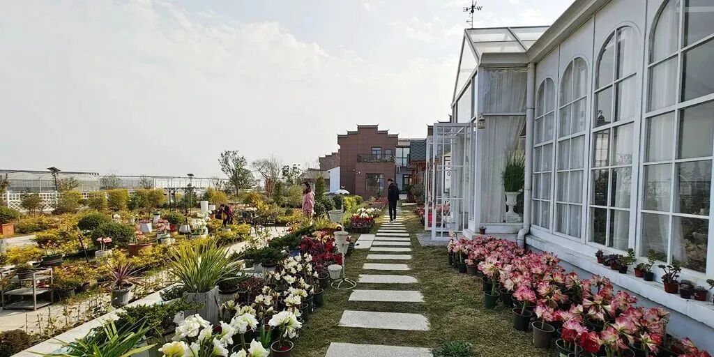 花开富贵誉荆楚——荆门“一枝花”工程绘就高质量发展新图景