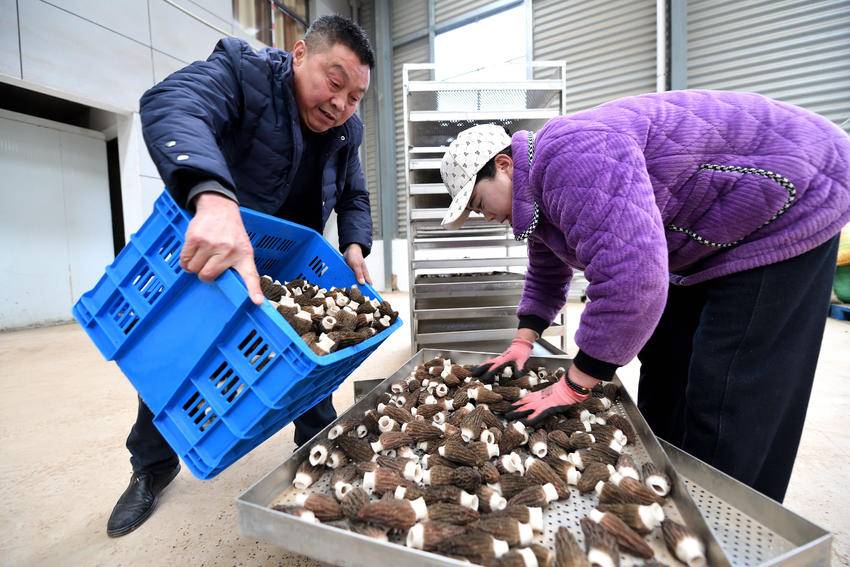 小山村念活山水“致富经”