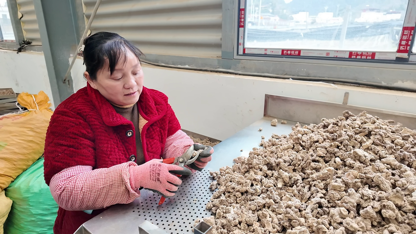 小山村念活山水“致富经”