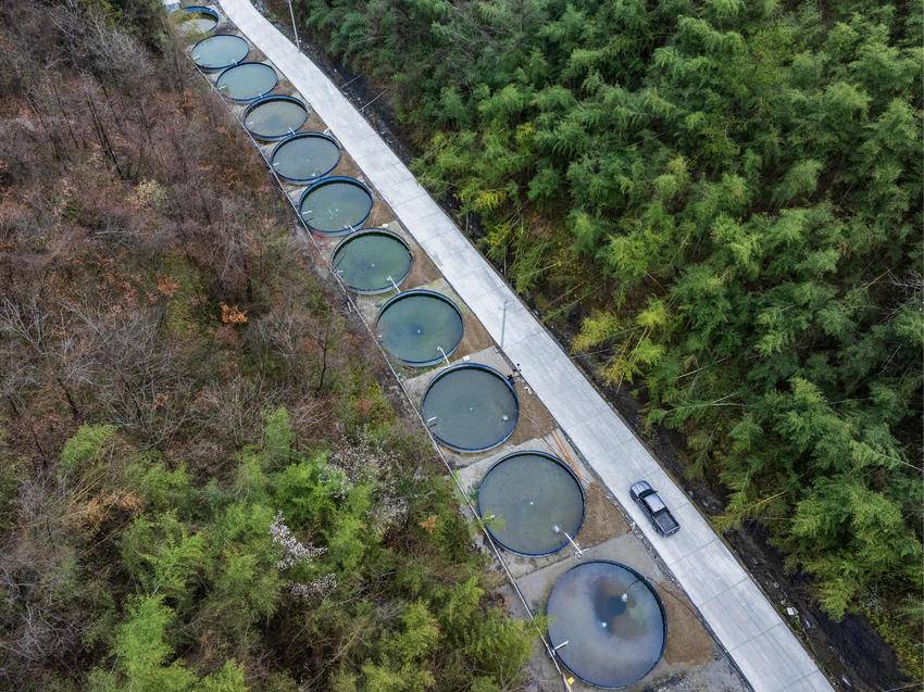 小山村念活山水“致富经”