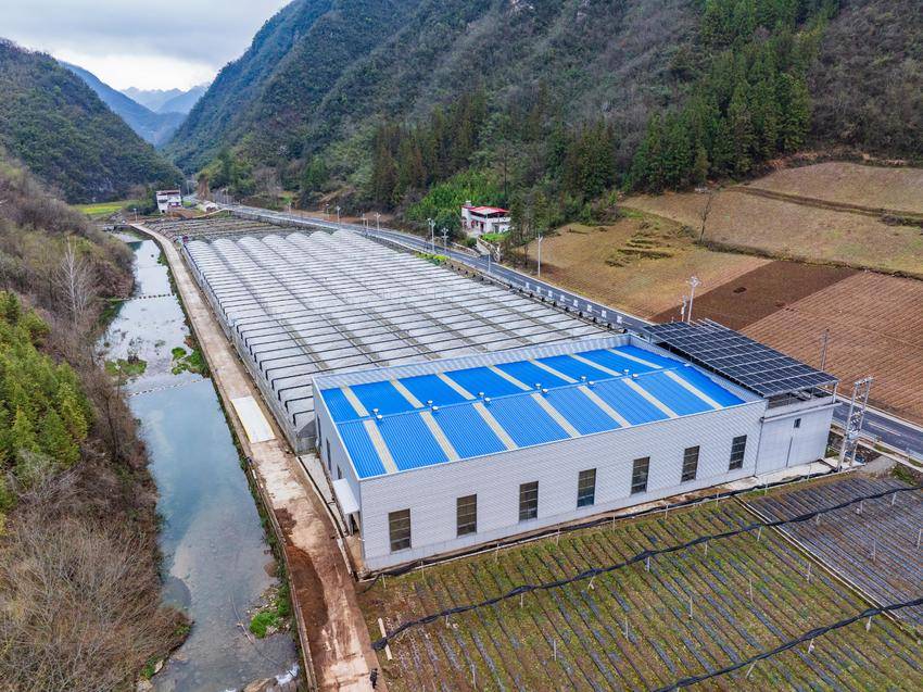 小山村念活山水“致富经”