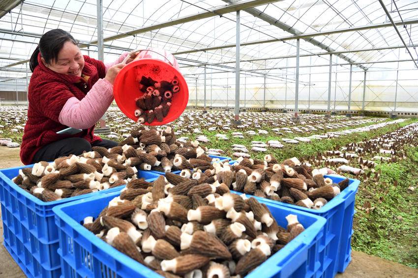 小山村念活山水“致富经”