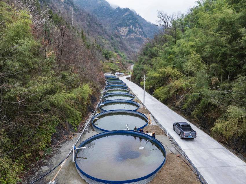 小山村念活山水“致富经”