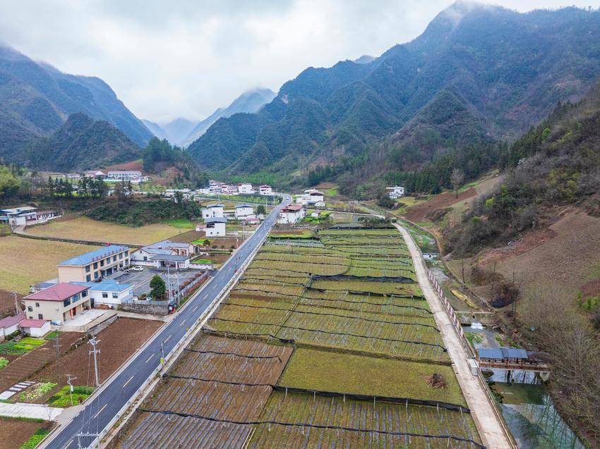 小山村念活山水“致富经”