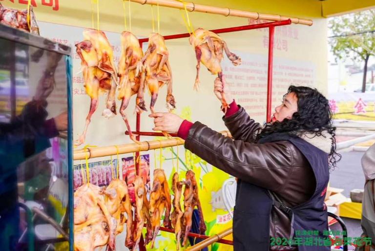 湖北油菜花节开幕 80万亩金色花海迎客来