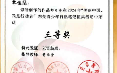 湖大附小师生在全国少年儿童生态未来环保教育活动获佳绩