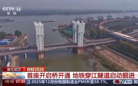 武汉都市圈“一小时交通圈”再添新通道，双柳长江大桥今日通车试运营