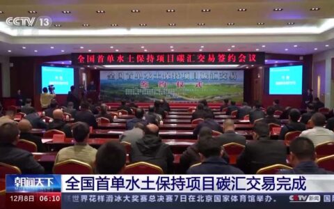 全国首个城市核心区生态修复碳汇产品成功交易，“汉马”跑出来的碳就地被“中和”