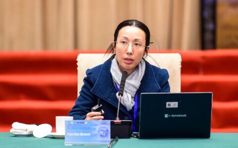 胡志莉出席全市3月份重点项目调度推进会