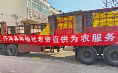 市供销社靠前服务 全力护航春耕生产