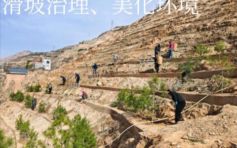 推行楼栋“微自治”　夯实治理“大底盘”