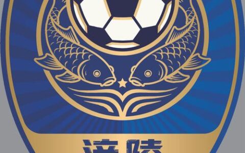 小燕子还是工业风？8款设计哪款最“燃”？  “楚超”黄石队Logo由你定