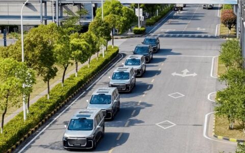 全球第四大车企老总来武汉，专门去坐了萝卜快跑