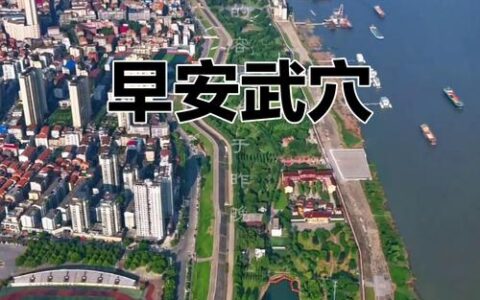 从“管理”到“治理”！ 武穴“街长制”绣出城市新图景