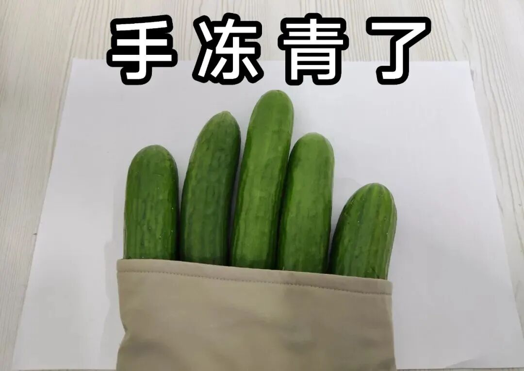 一秒入冬!十堰这两个地方又下雪了