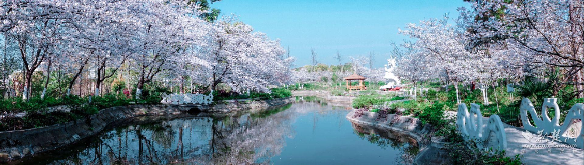 [荆楚网]楚韵虾香醉春风——潜江市拉开春季文旅盛宴帷幕