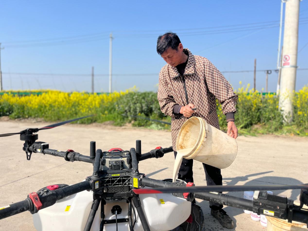 张金镇：无人机“飞防”护航油菜丰产