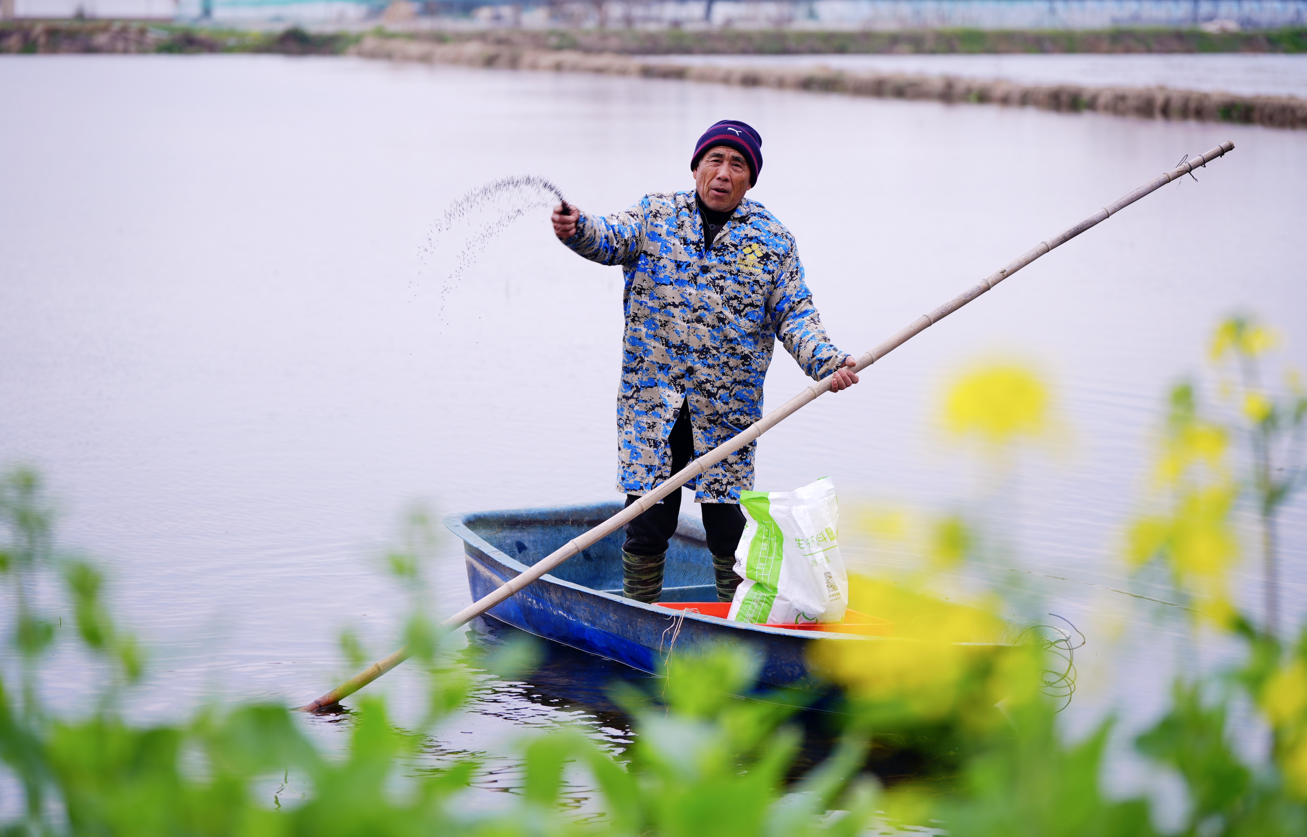 早春投食忙 虾苗长势旺